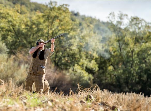 Partridge Spain