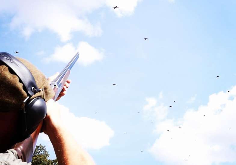 Partridge Shooting Spain