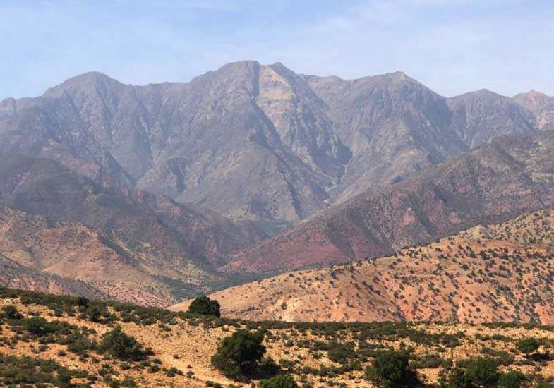04 Morocco Partridge Sporting Tours Atlas Mountains