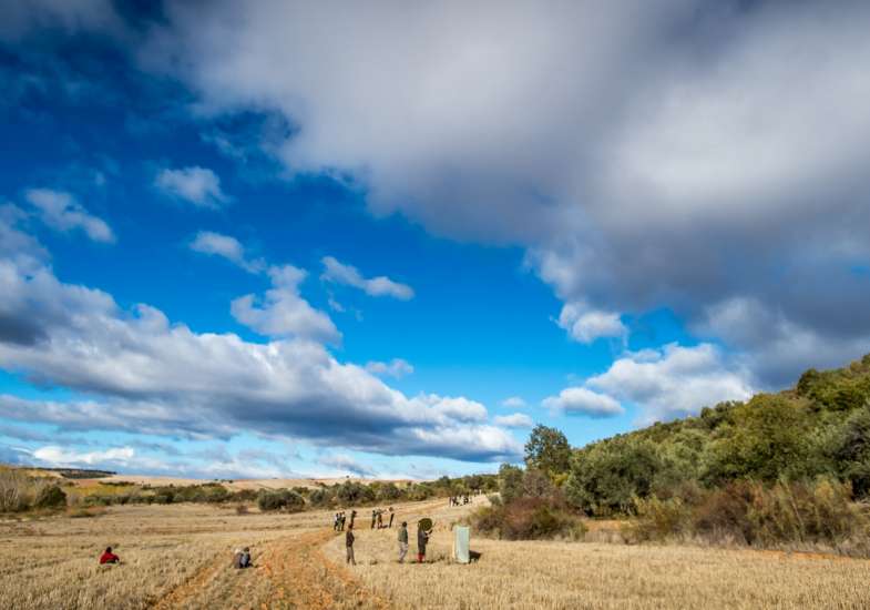 08 Gallery Partridge Shooting In Spain