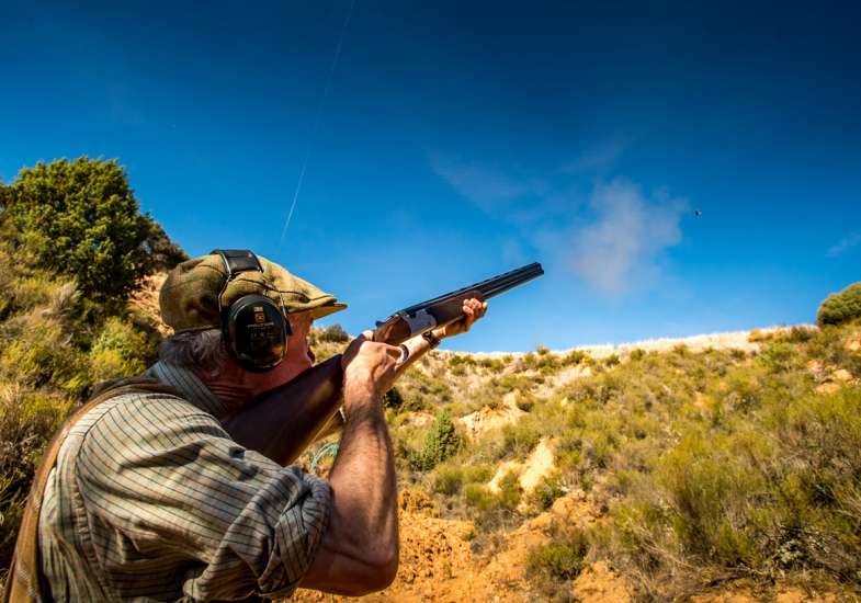 28 Gallery Partridge Shooting In Spain