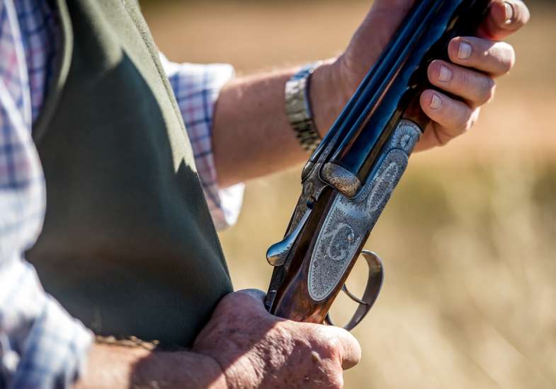 31 Gallery Partridge Shooting In Spain