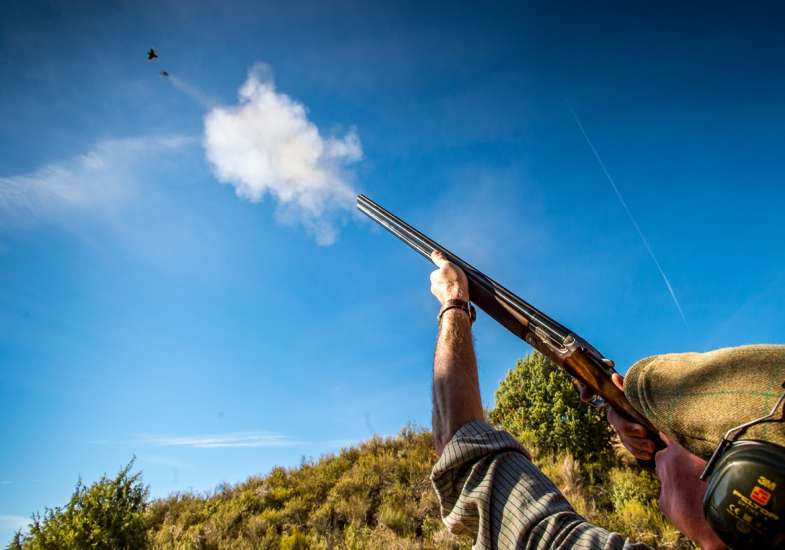 33 Gallery Partridge Shooting In Spain