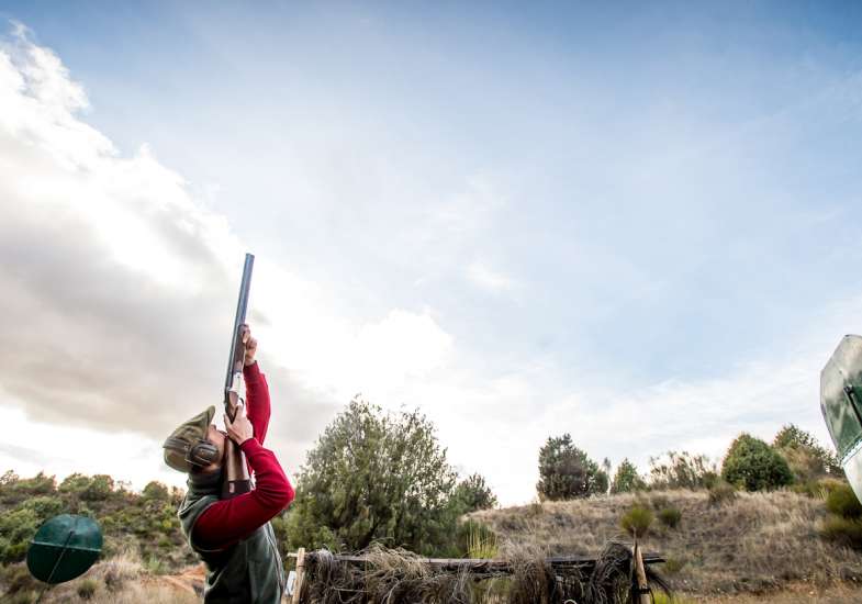 34 Gallery Partridge Shooting In Spain