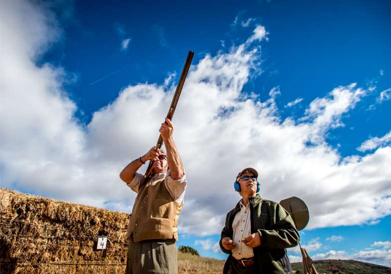 35 Gallery Partridge Shooting In Spain