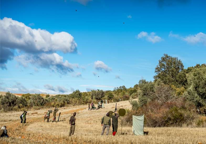 36 Gallery Partridge Shooting In Spain