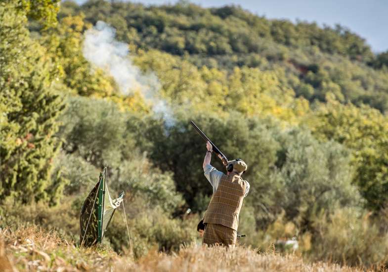 37 Gallery Partridge Shooting In Spain