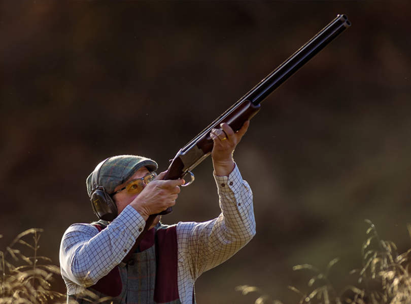 01 A Seville Partridge Shooting Spain