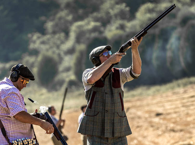 34 A Seville Partridge Shooting Spain