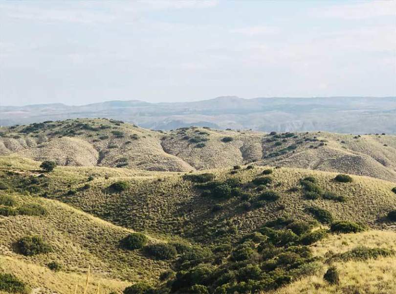 15 Chinchon Partridge Shooting Spain