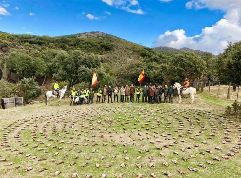 16 Chinchon Partridge Shooting Spain