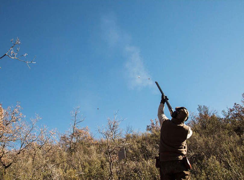 22 Chinchon Partridge Shooting Spain