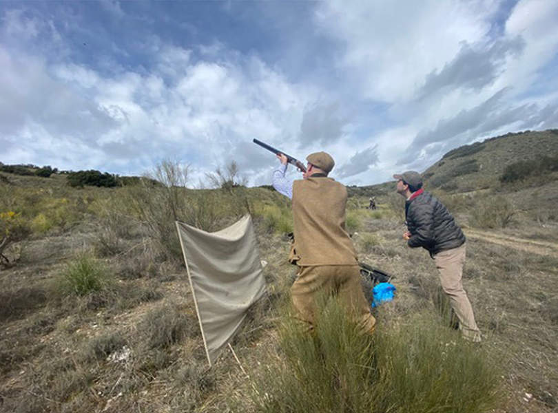 29 Chinchon Partridge Shooting Spain