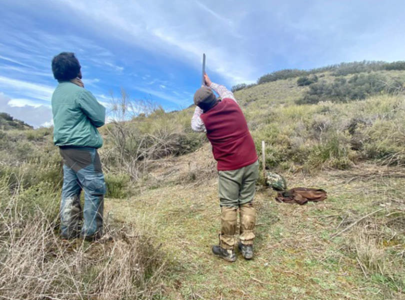 31 Chinchon Partridge Shooting Spain