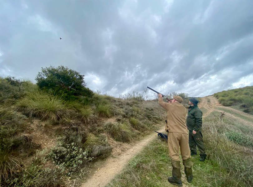 33 Chinchon Partridge Shooting Spain2