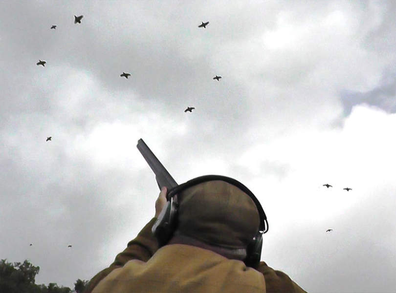 34 Chinchon Partridge Shooting Spain