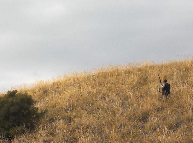 35 Chinchon Partridge Shooting Spain