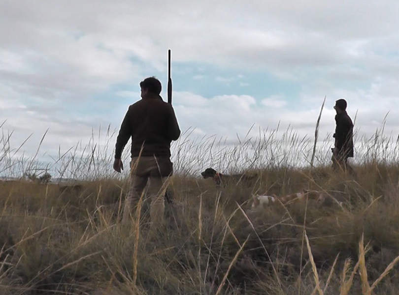 36 Chinchon Partridge Shooting Spain