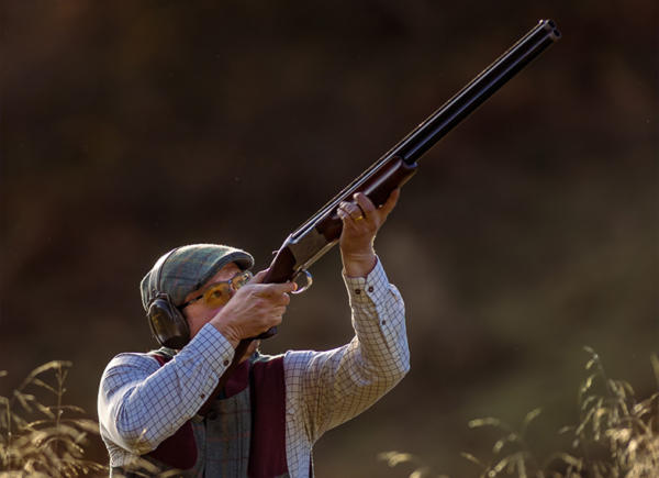 01 A Seville Partridge Shooting Spain 2