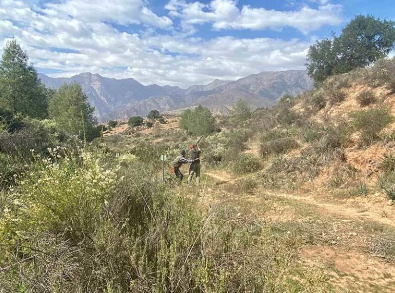 02 Morocco Partridge Shooting Atlas Mountains