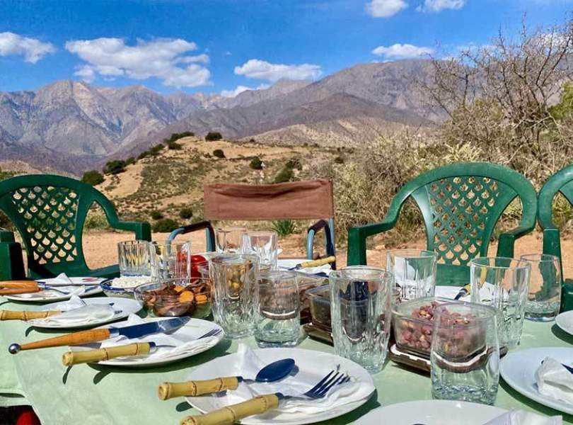 19 Morocco Partridge Shooting Atlas Mountains