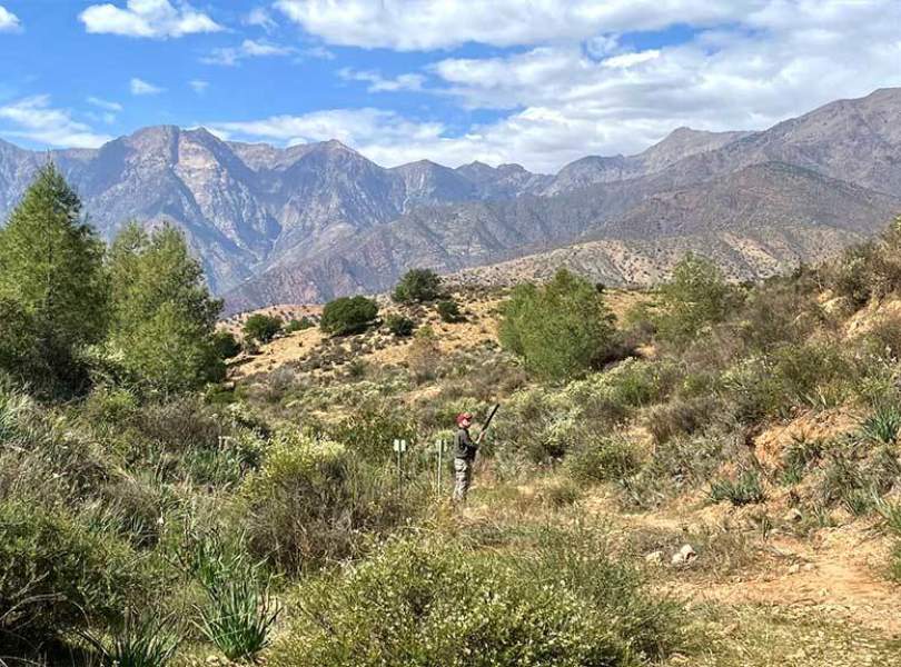 22 Morocco Partridge Shooting Atlas Mountains