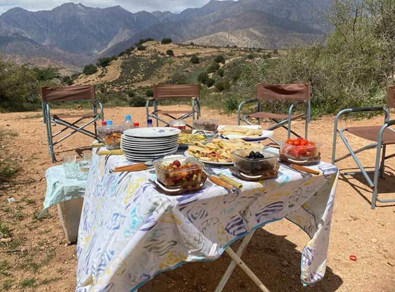 31 Morocco Partridge Shooting Atlas Mountains