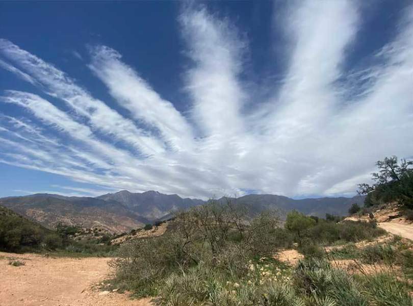 32 Morocco Partridge Shooting Atlas Mountains