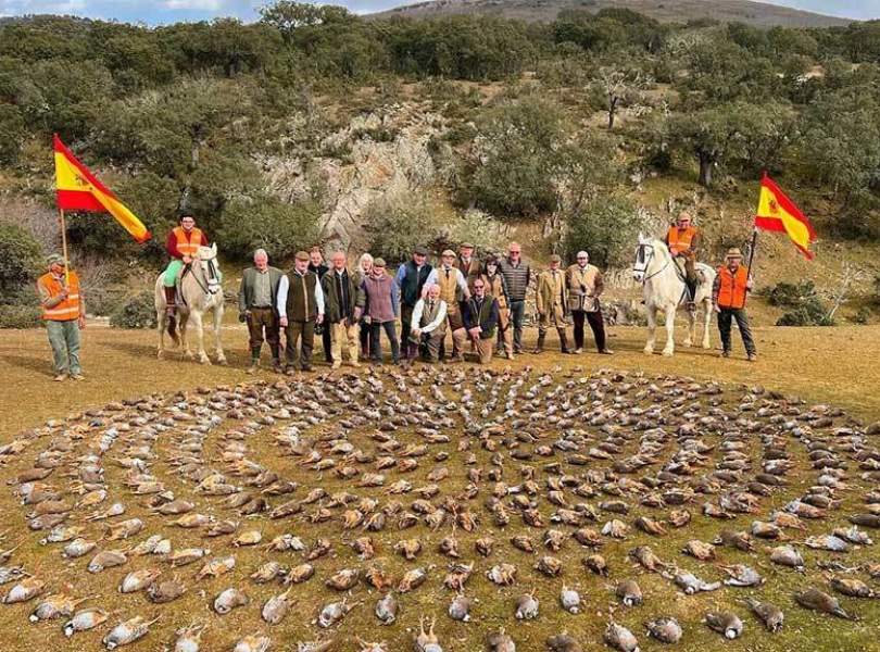 23 Salamanca Partridge Europe