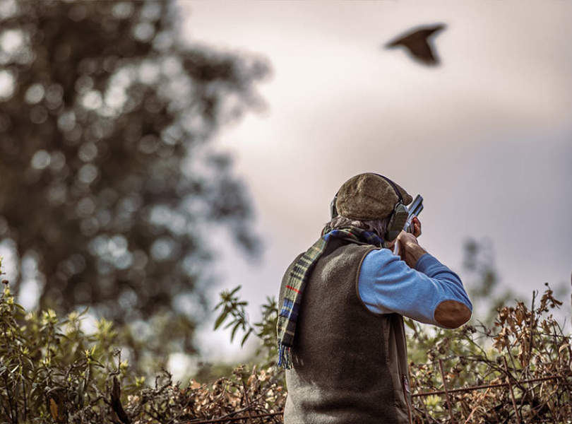 05 Seville Partridge Shooting Spain