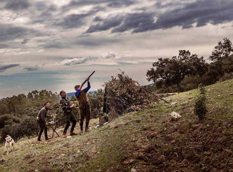 10 Seville Partridge Shooting Spain