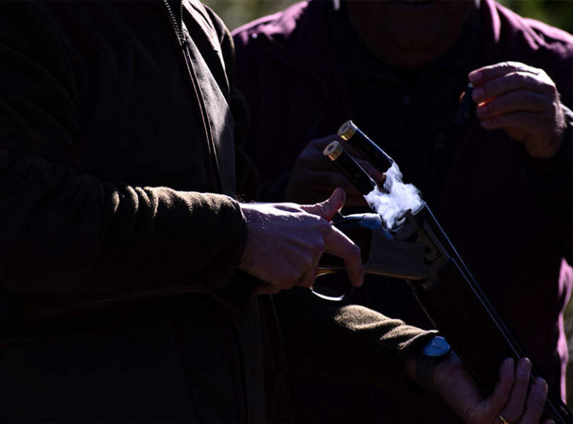 23 Seville Partridge Shooting Spain