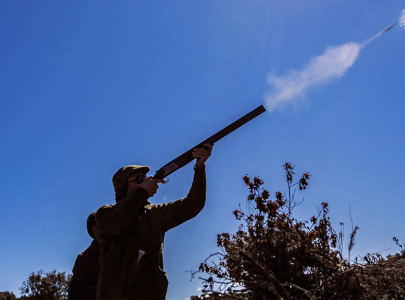 27 Seville Partridge Shooting Spain