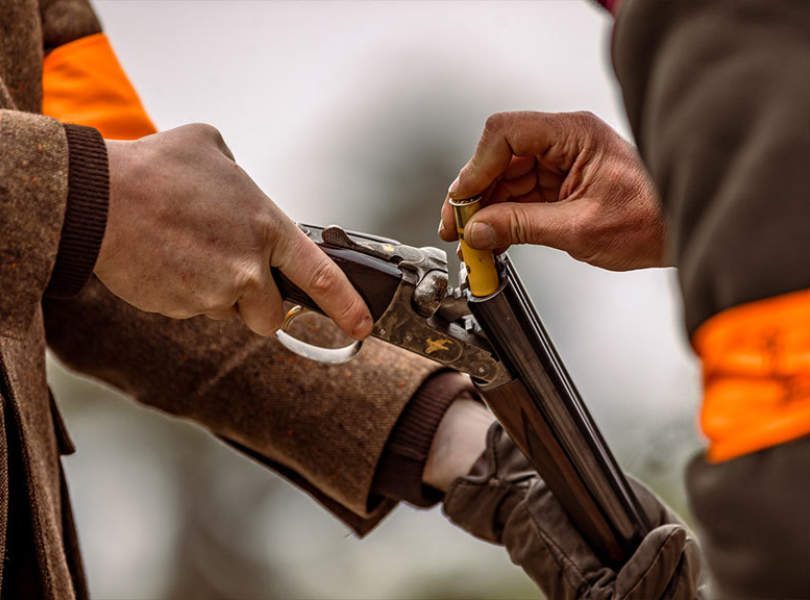 41 Seville Partridge Shooting Spain