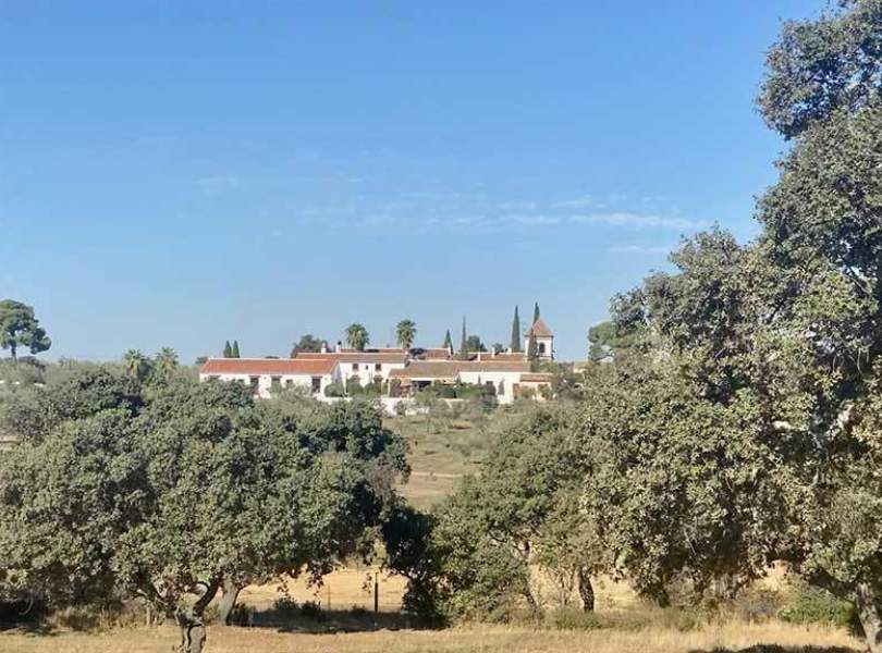 45 Seville Partridge Shooting Spain